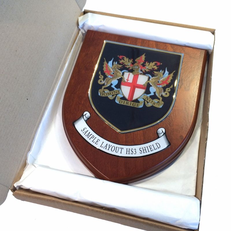 Presentation shield with shield shaped centrepiece and scroll.